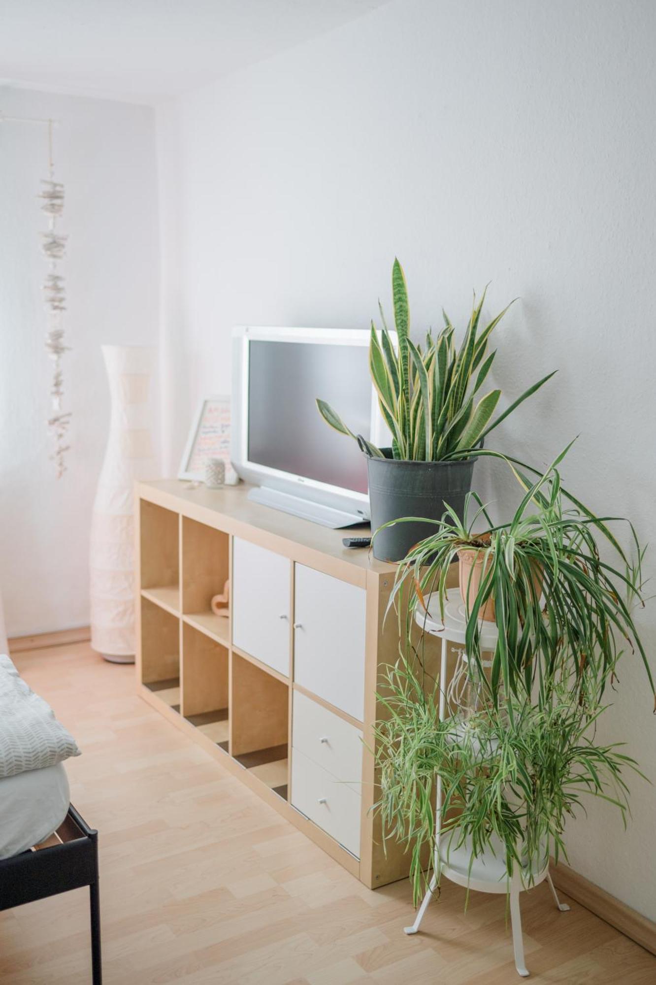 Buchlindenweg - Zimmer & Ferienwohnung Breitscheid  Экстерьер фото